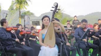 武汉学琵琶的地方—野美民乐